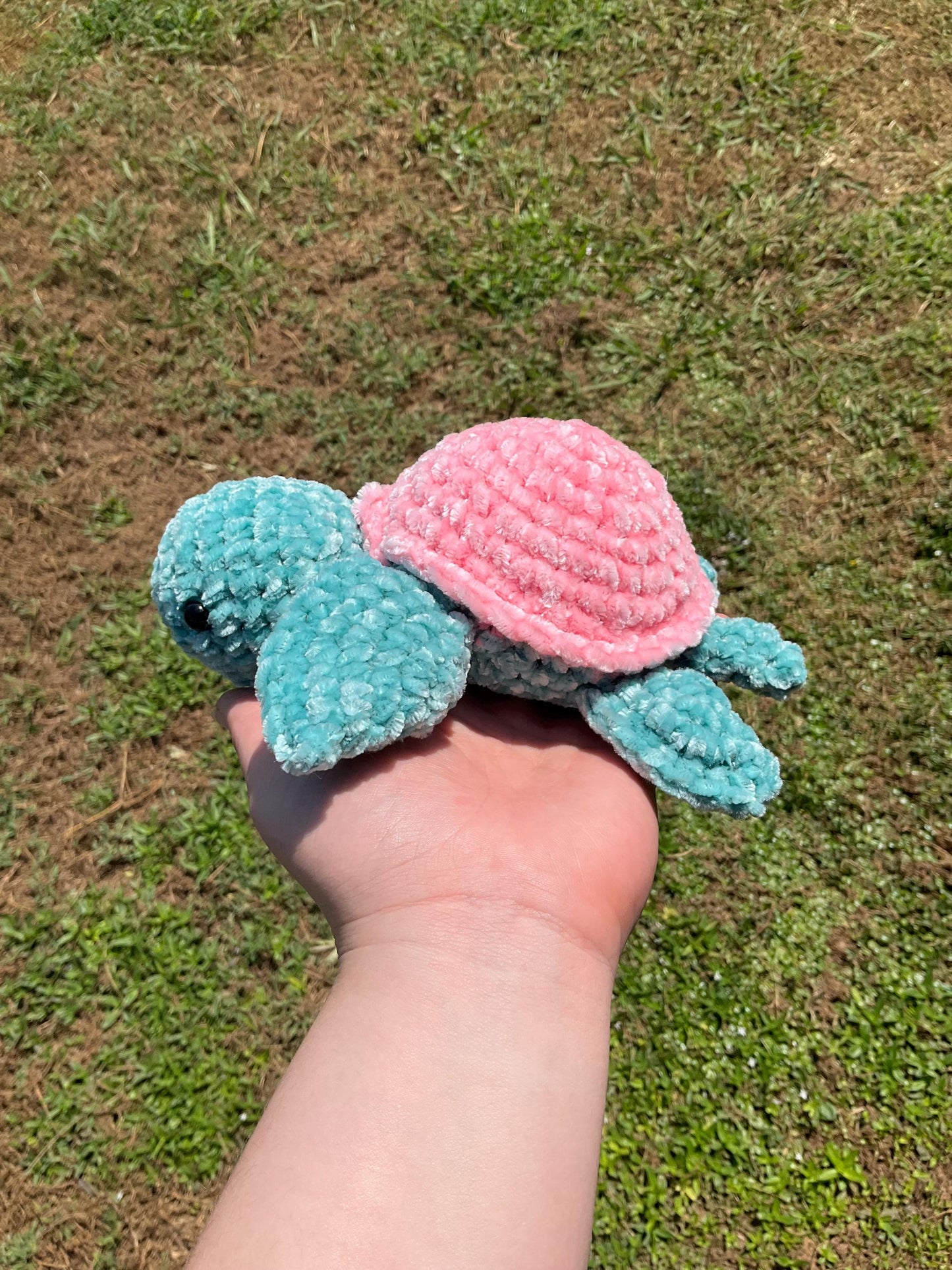 Mini Turtle