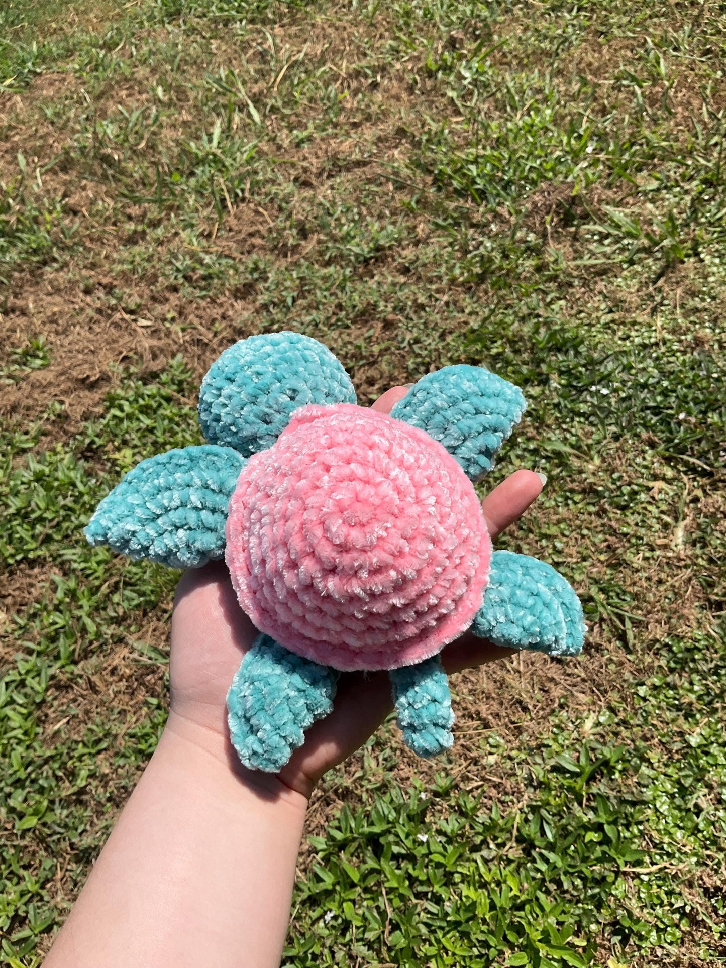 Mini Turtle